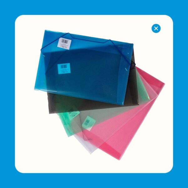 Carpeta con Liga Plastica